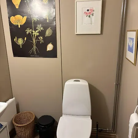 Villa Yveden Ateljeekoti